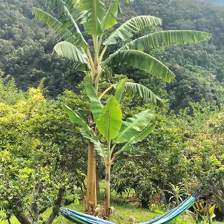 Sea Mountain House Machico (Madeira)