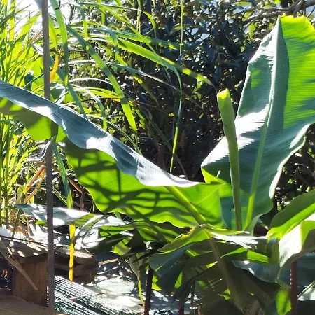 بيت للعطل Sea Mountain House ماتشيكو