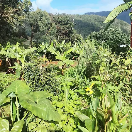 Sea Mountain House Holiday home Machico (Madeira)