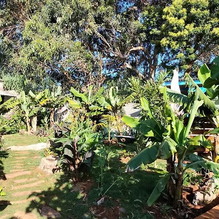 بيت للعطل Sea Mountain House