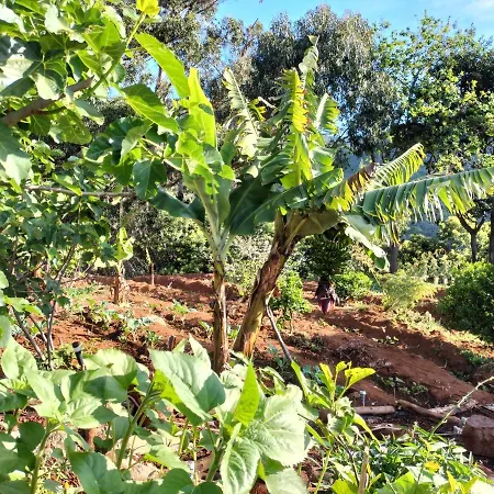 Sea Mountain House بيت للعطل