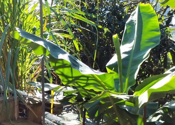 度假居 Sea Mountain House 马希库