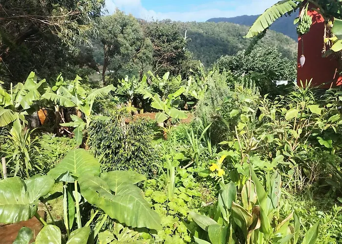 Sea Mountain House Dom wakacyjny Machico (Madeira)