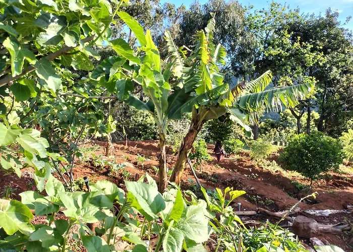 Sea Mountain House 別荘