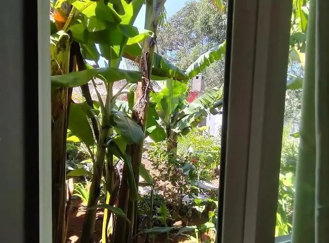 Sea Mountain House * Machico (Madeira)