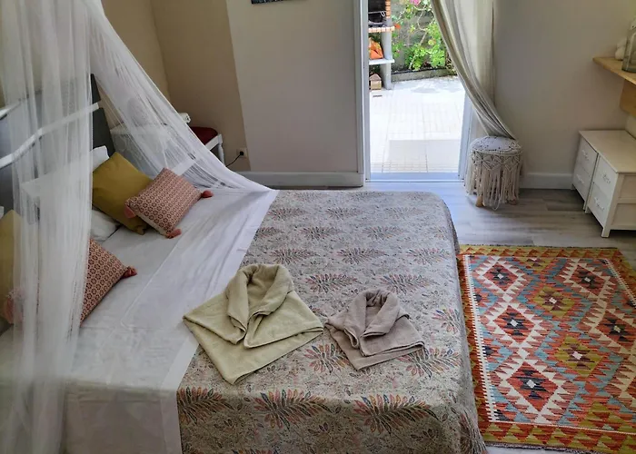 Sea Mountain House マシコ